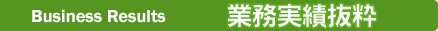 業務実績抜粋